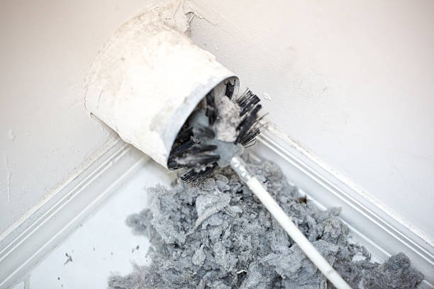 Affordable HVAC Duct Cleaning in North Lakes, AK